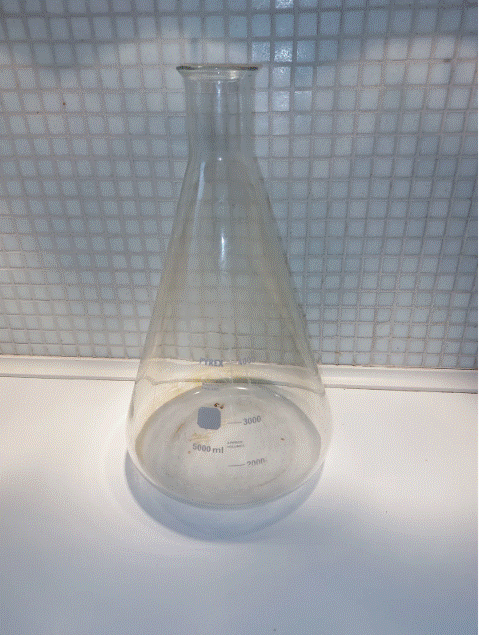 Erlenmeyer Kolbe