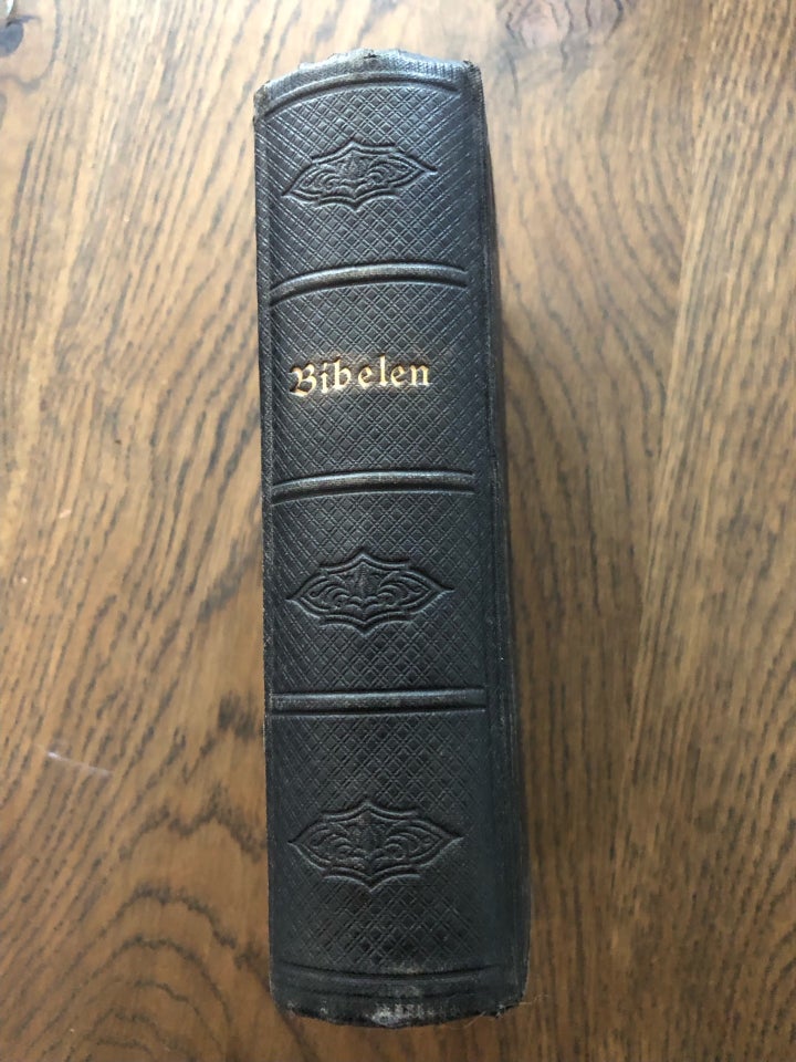 Gammel Bibel fra 1891, gortisk