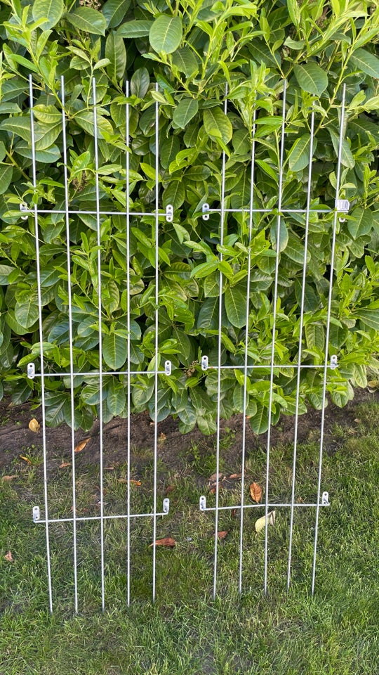 Espalier til mur