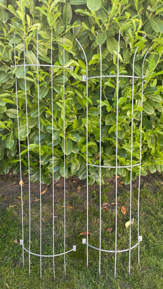 Espalier til mur