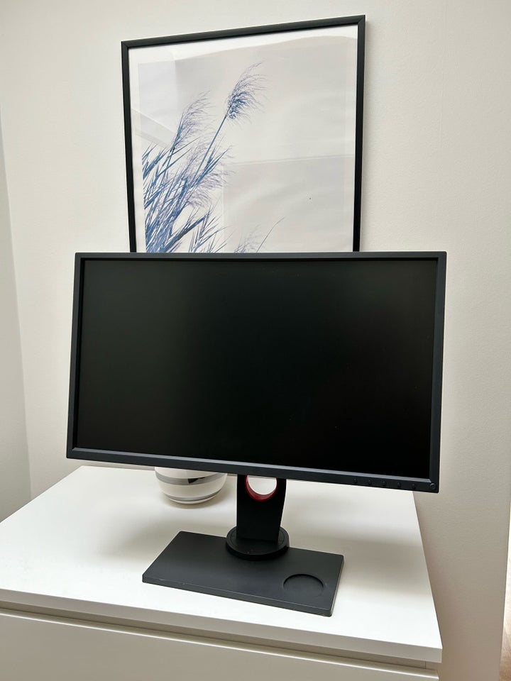 BenQ Zowie, XL2546, 24 tommer