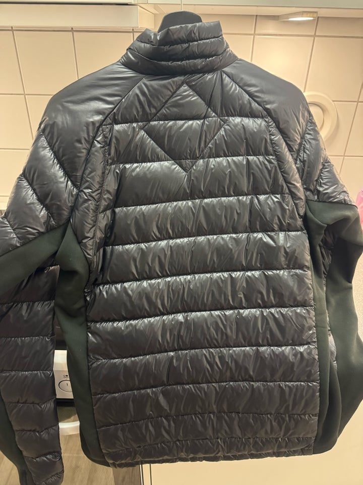 Andet, str. L, Canada Goose