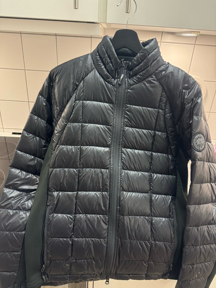 Andet, str. L, Canada Goose