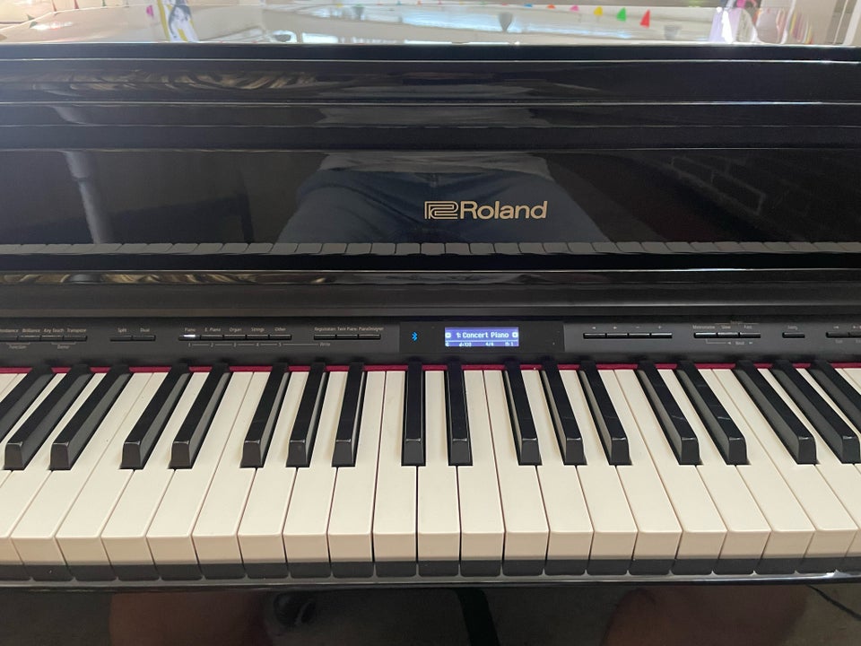 Elflygel Roland GP607