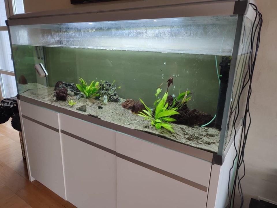 Akvarium, 720 liter, b: 160 d: 56 h: