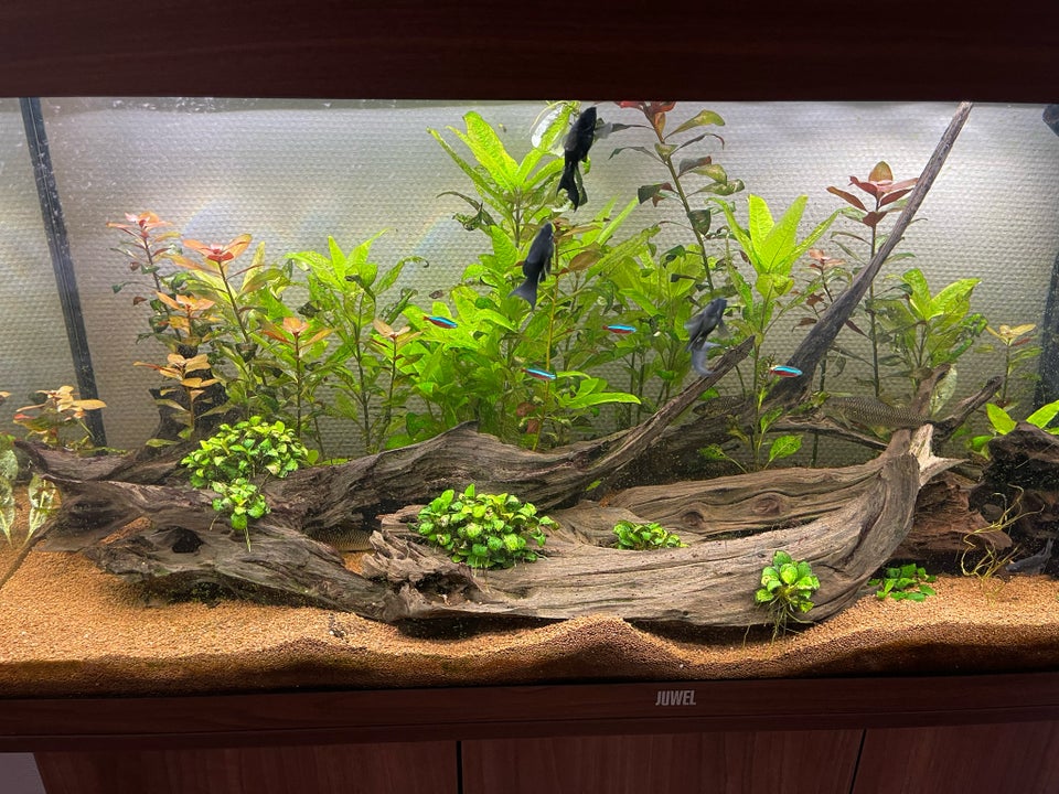 Akvarium 180 liter b: 100 d: 40 h: