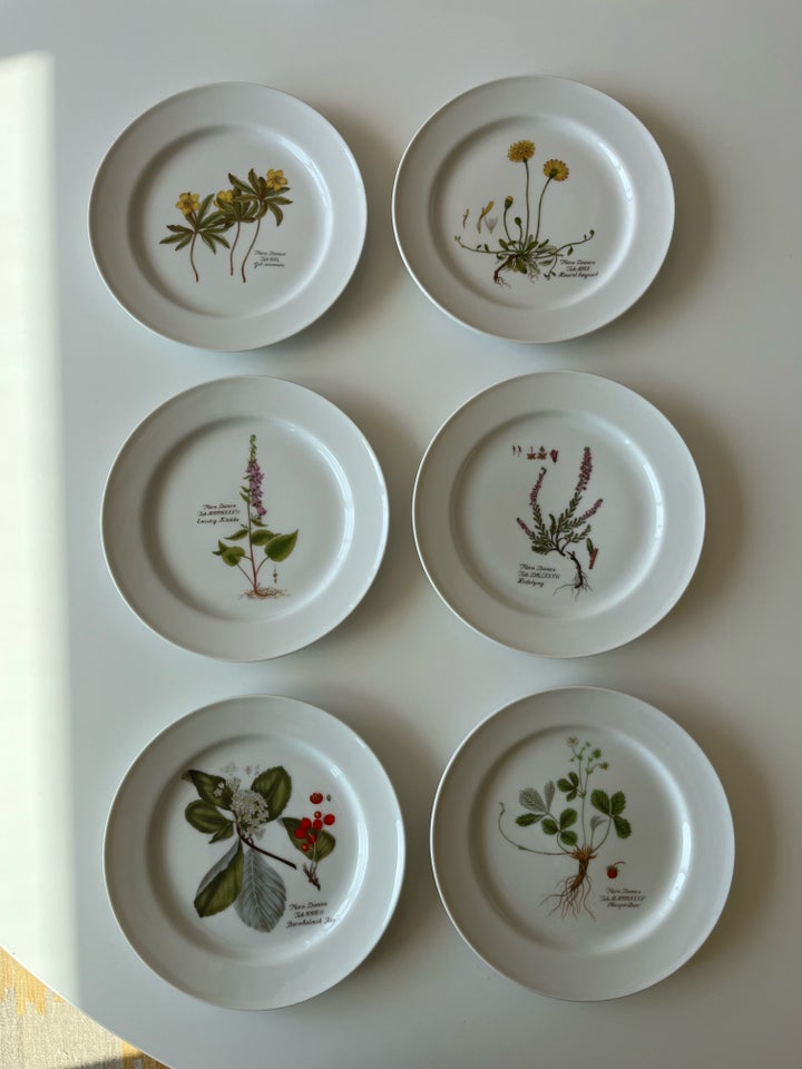 Porcelæn Tallerkener / Platter