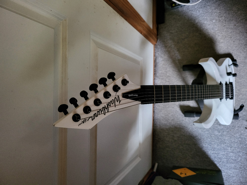 Elguitar, Washburn Renegade, HM24