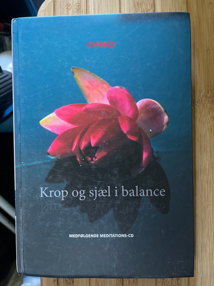 Krop og sjæl i balance, Ishockey,