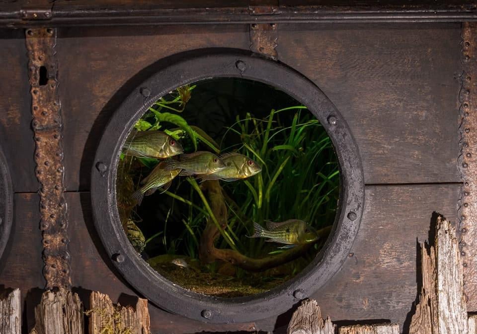 Akvarium, 240 liter, b: 154 d: 65 h: