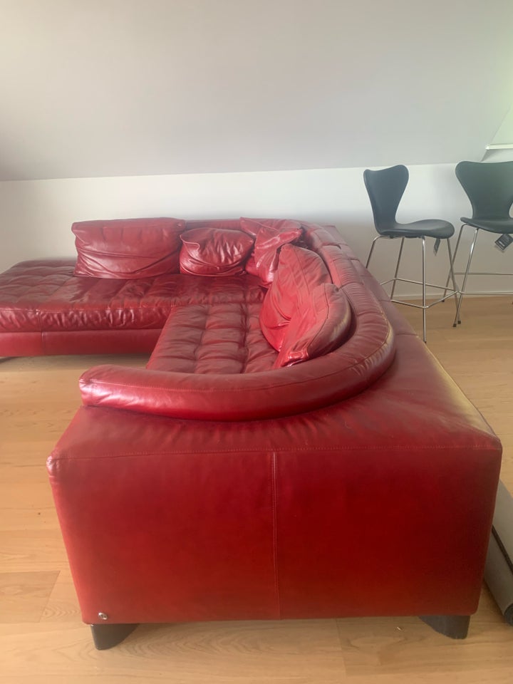 Hjørnesofa, læder, Natuzzi