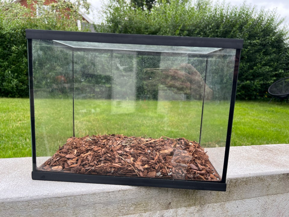 Terrarium b: 35 d: 21 h: 26