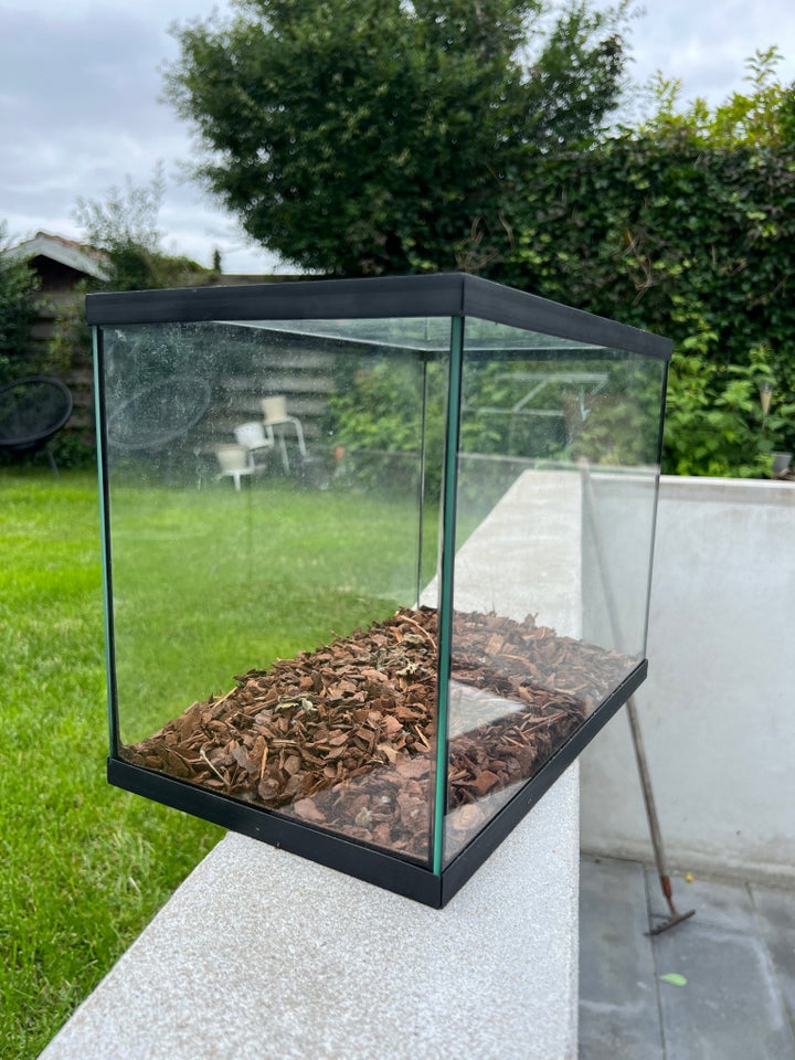 Terrarium b: 35 d: 21 h: 26