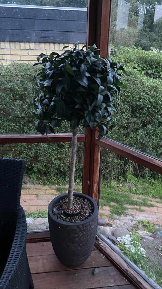 Kunstig plante