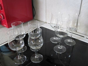 Glas vinglas Schott Zwiesel