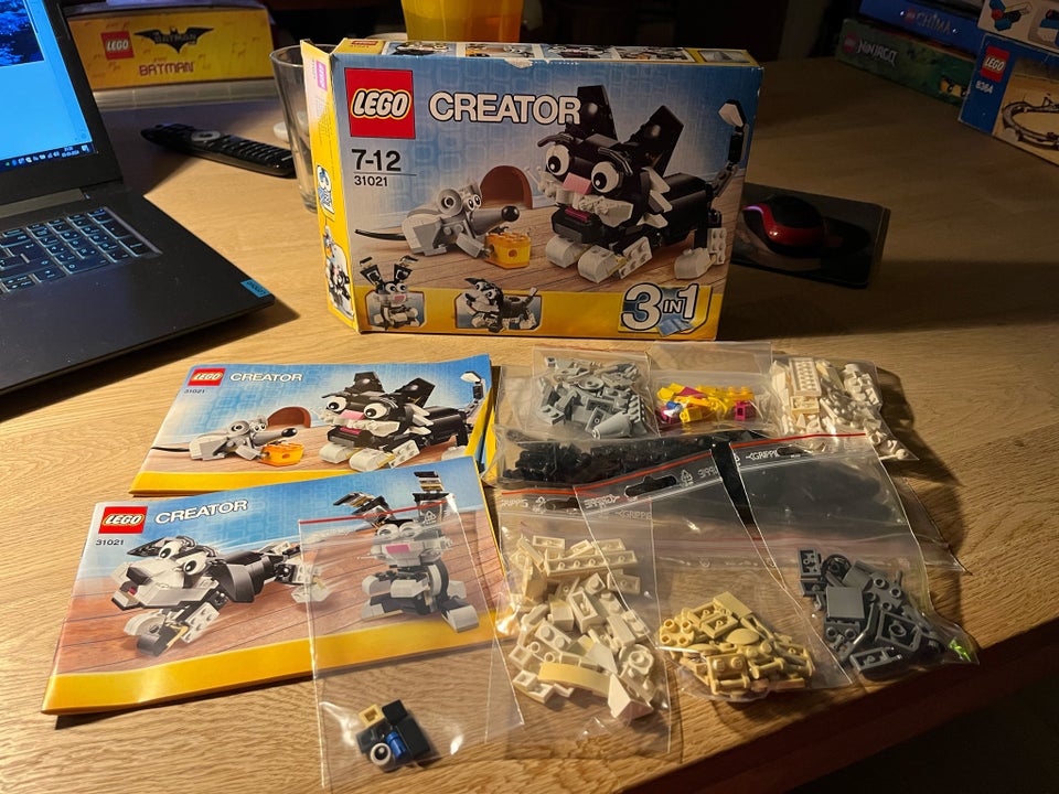 Lego Creator 31021