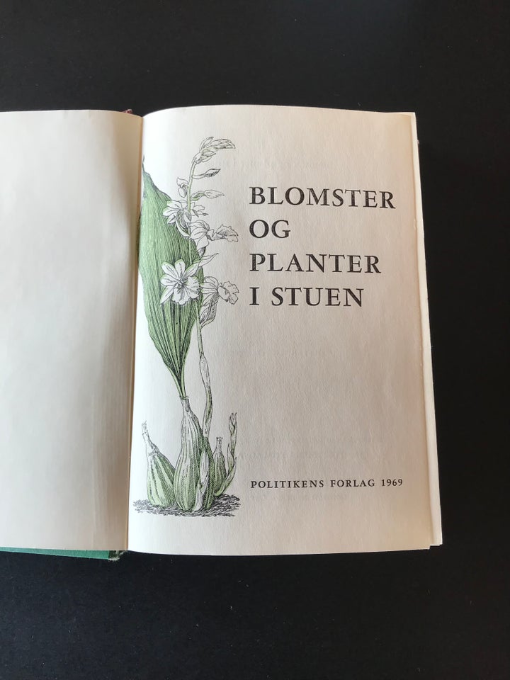 Blomster og planter i stuen,