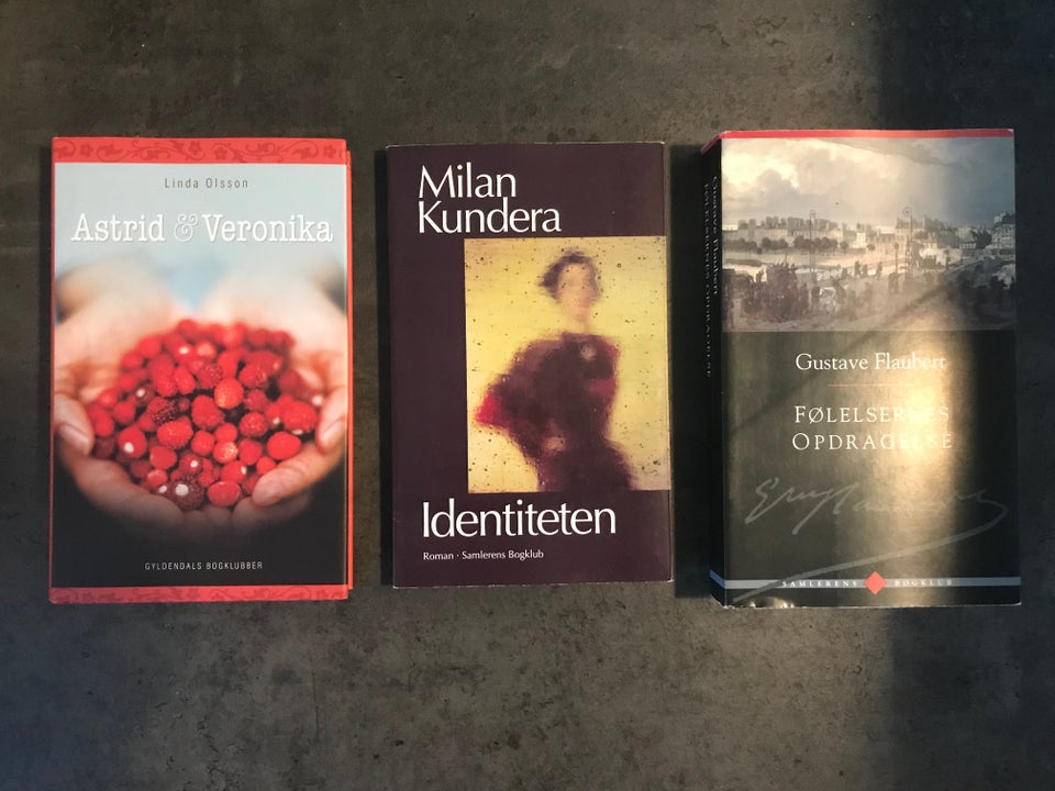 Lille samling skønlitteratur