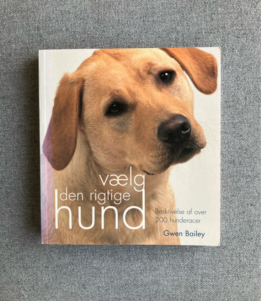 Vælg den rigtige hund, Gwen Bailey,