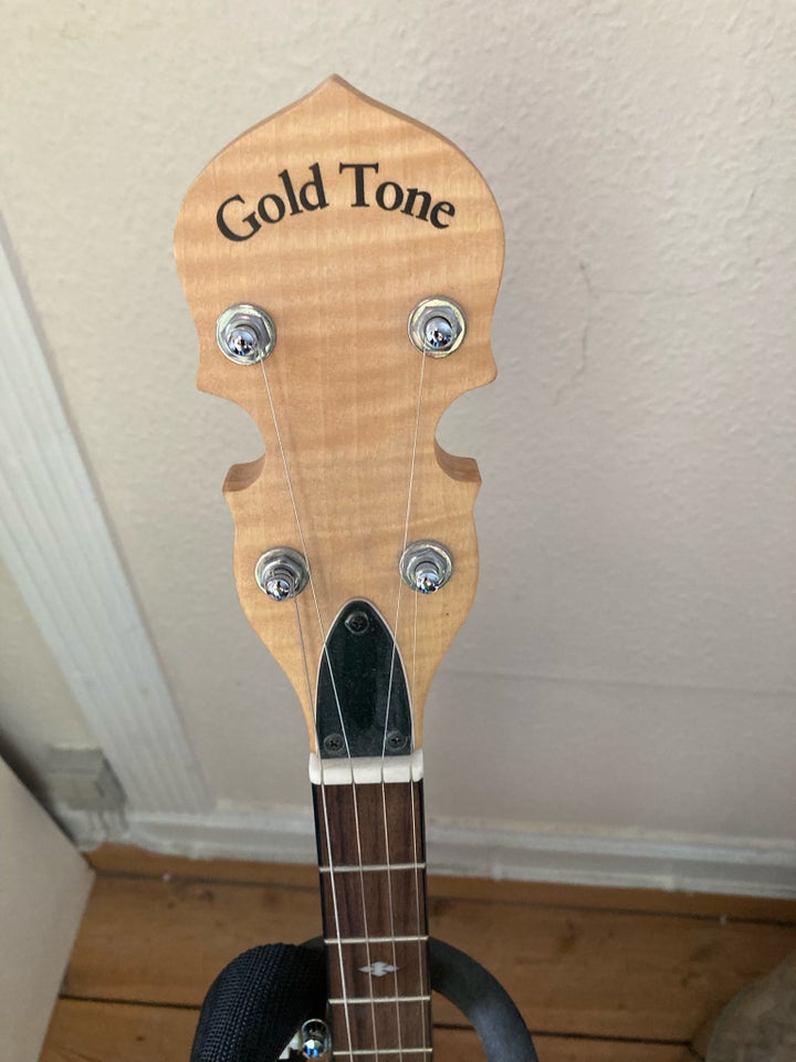 Banjo, Gold Tone 6 år gl.