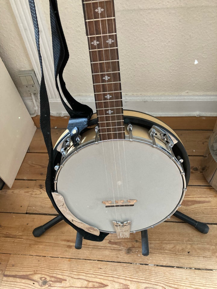 Banjo, Gold Tone 6 år gl.