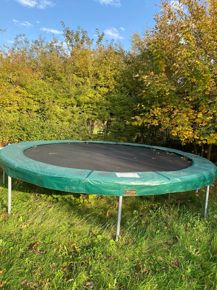 Trampolin, Avyna