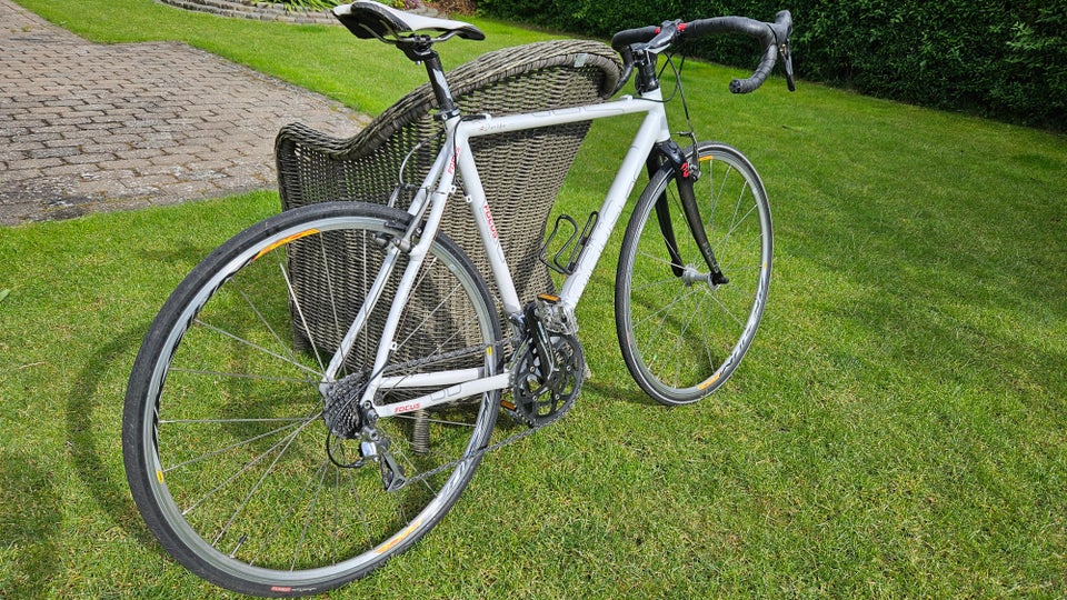 Herreracer FOCUS Arifa 56 cm stel