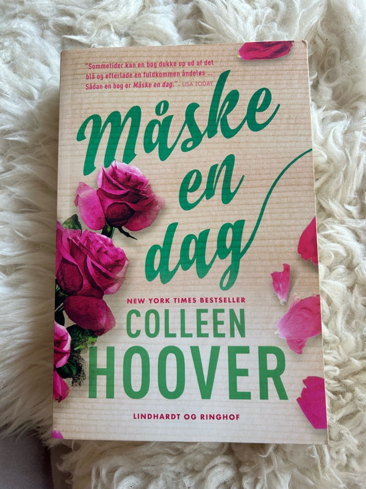 Måske en dag, Colleen Hoover,