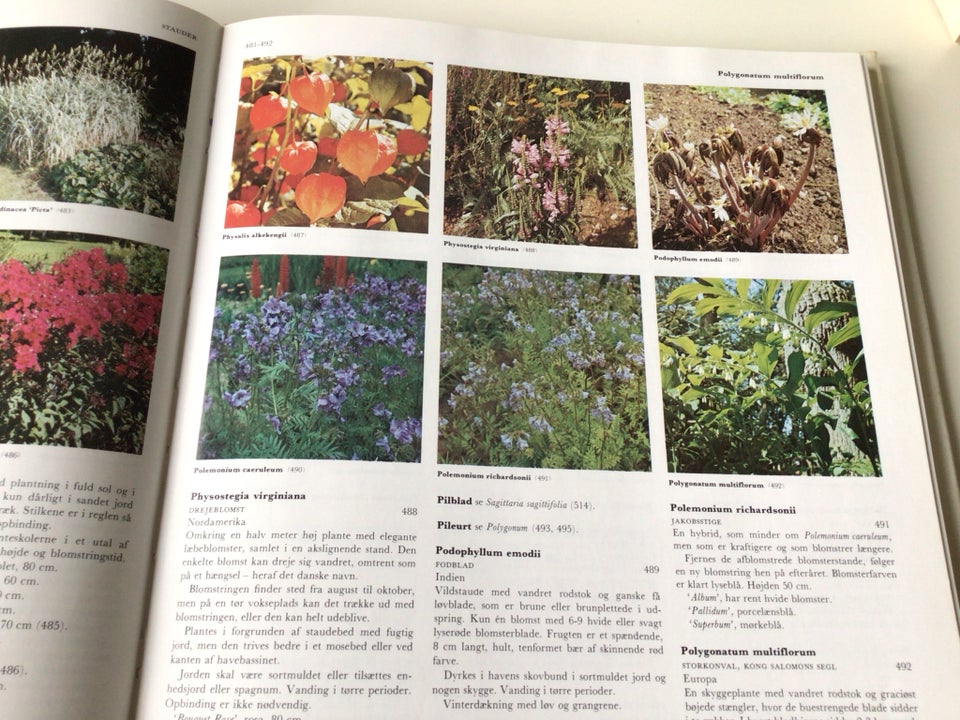 Lademanns blomsteratlas, emne: