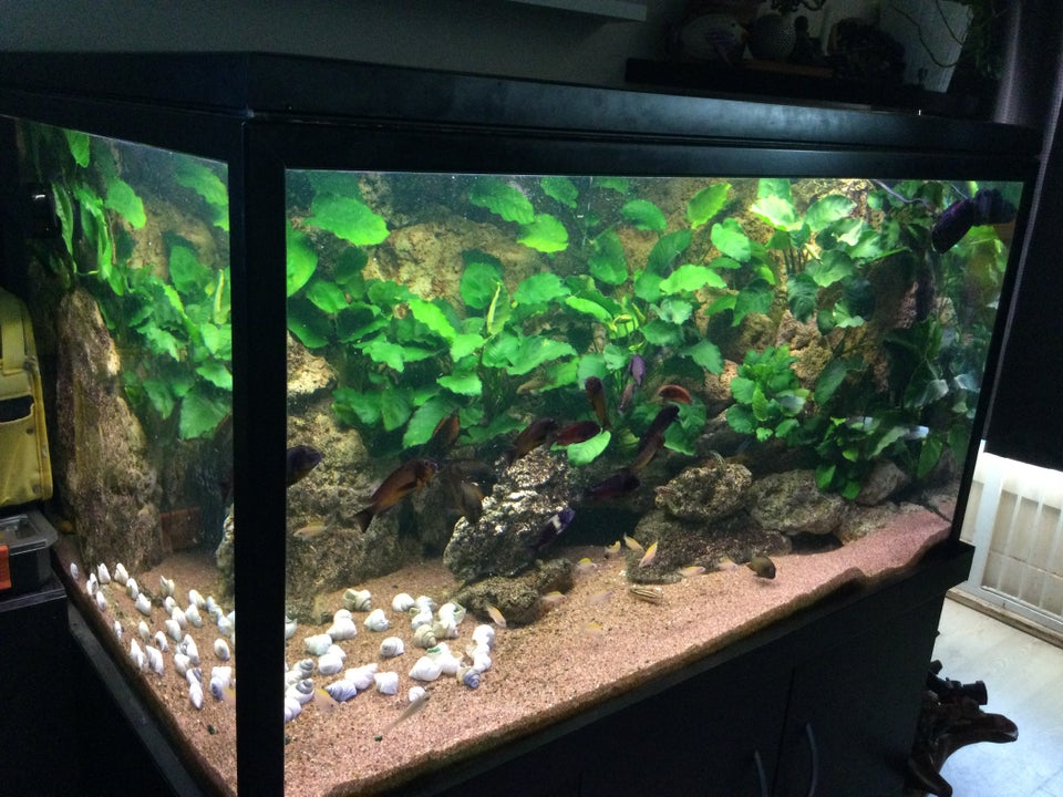 Akvarium, 820 liter, b: 130 d: 90 h: