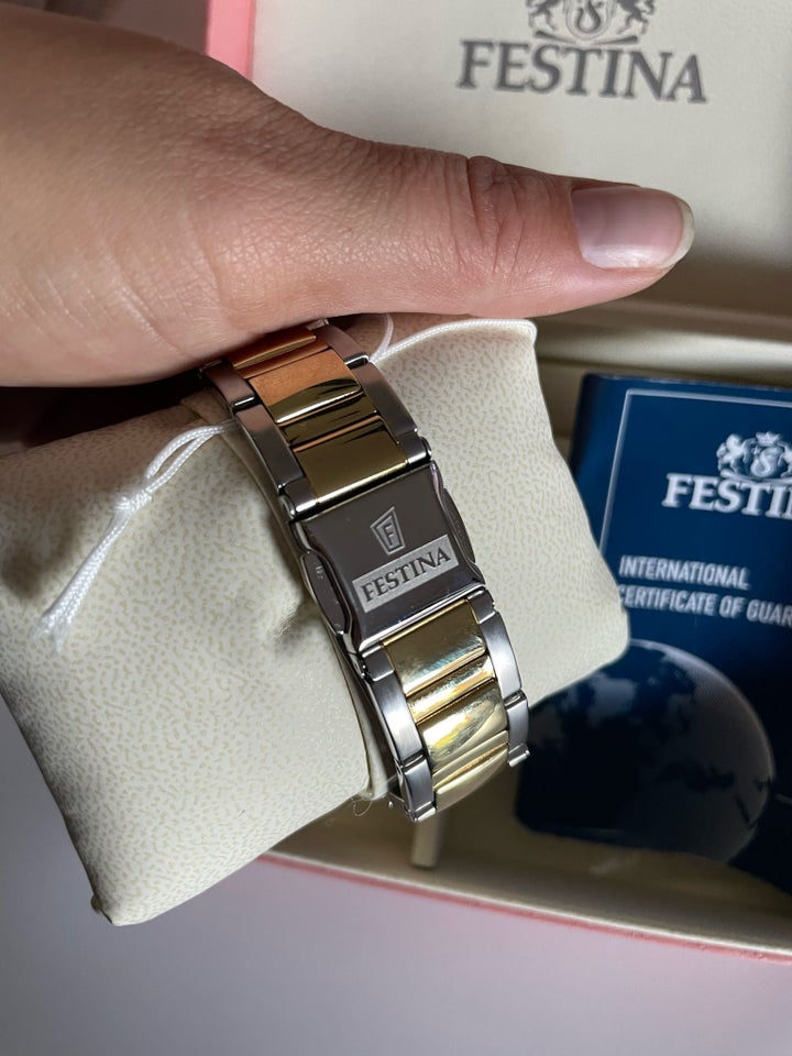 Dameur, Festina