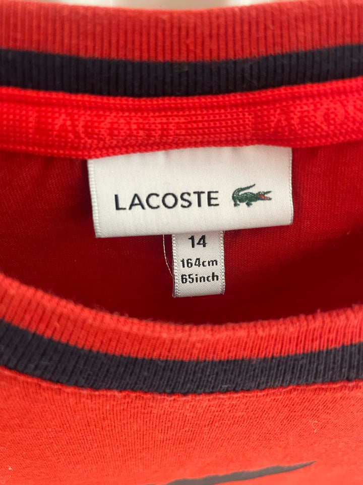 T-shirt T-shirt Lacoste