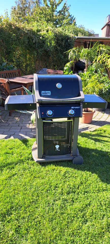 Gasgrill, Weber Spirit 210