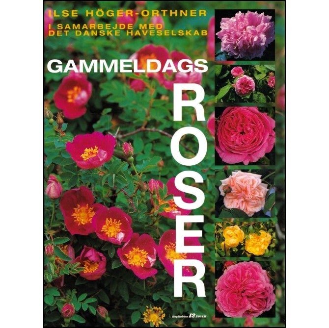 Gamle Roser, Hugo Lykke, emne: hus