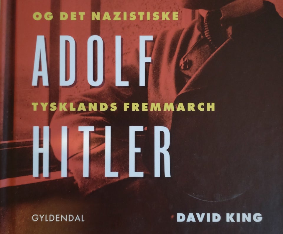 Retssagen mod Adolf Hitler, David