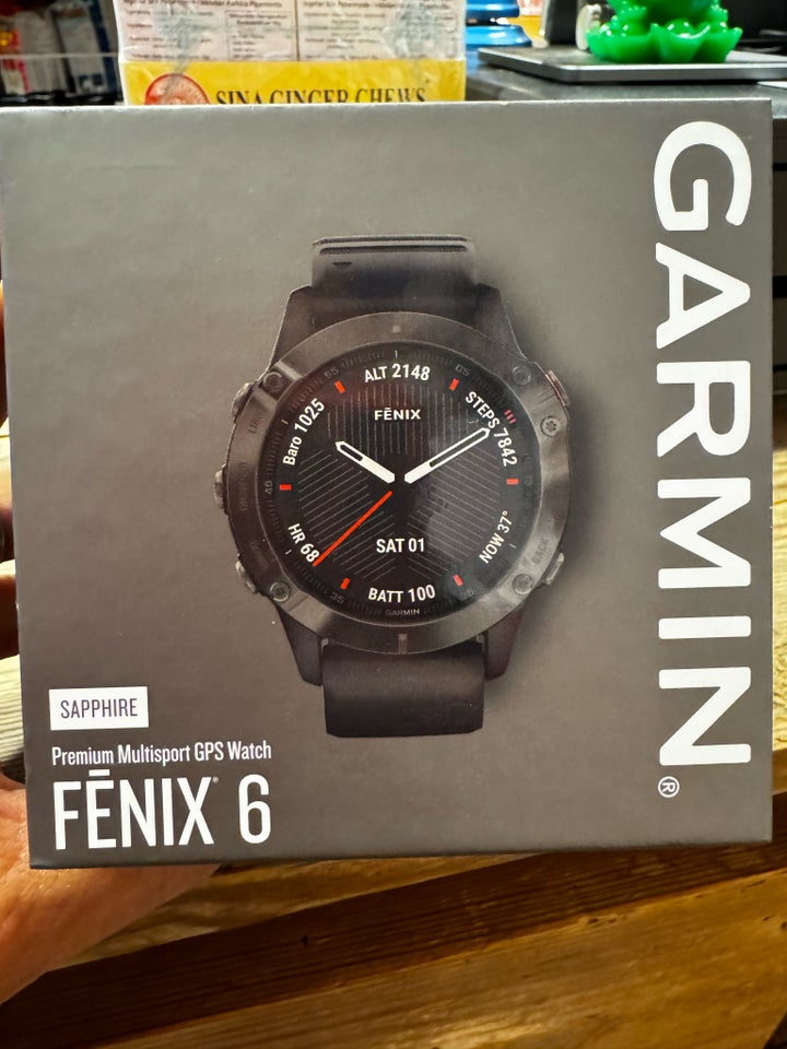 Smartwatch, Garmin