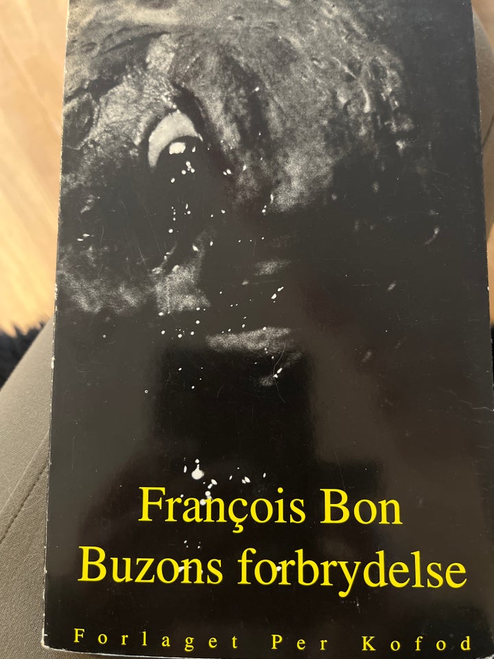 Buzons forbrydelse, Francois Bon,