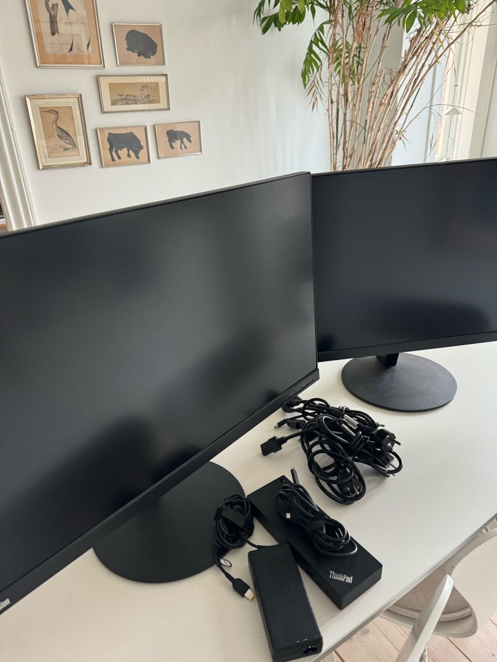 Lenovo, fladskærm, ThinkVision