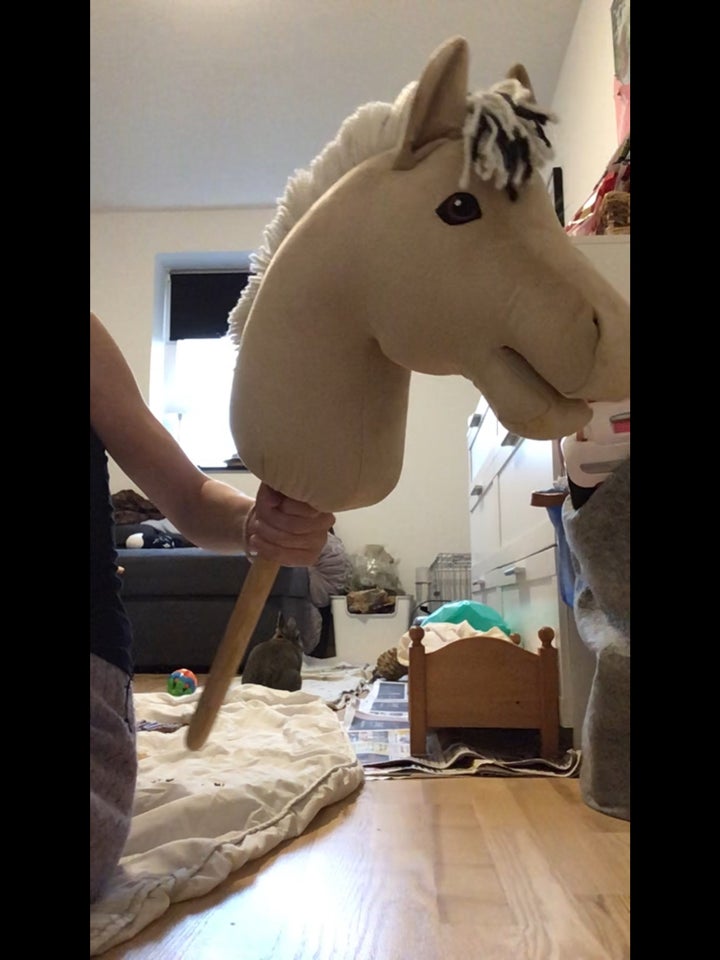 Kæphest, Kæphest, My hobbyhorse