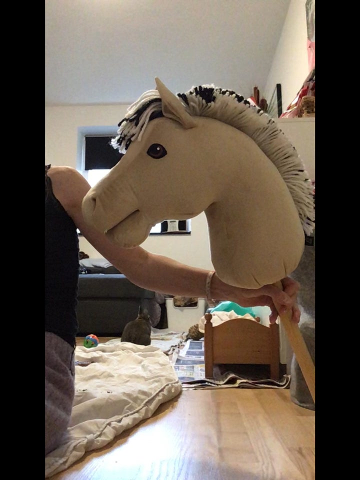 Kæphest, Kæphest, My hobbyhorse