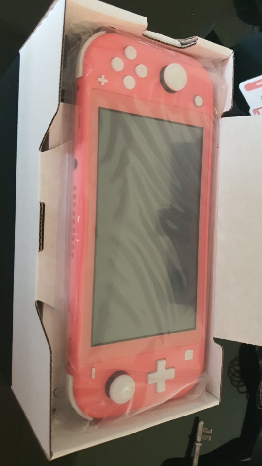 Nintendo Switch Switch Lite