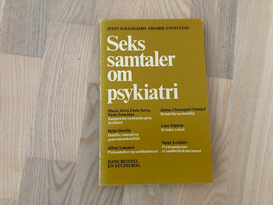 Seks samtaler om psykiatri, Svein