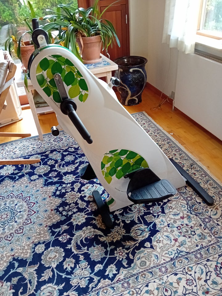 Motionscykel, Lemco