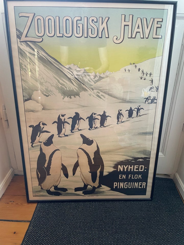 Plakat motiv: Zoo plakat - en flok