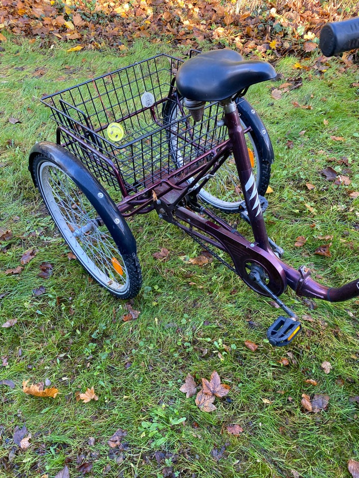 Handicapcykel, Kynast