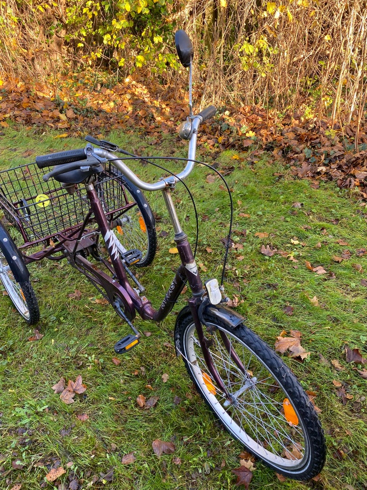 Handicapcykel, Kynast