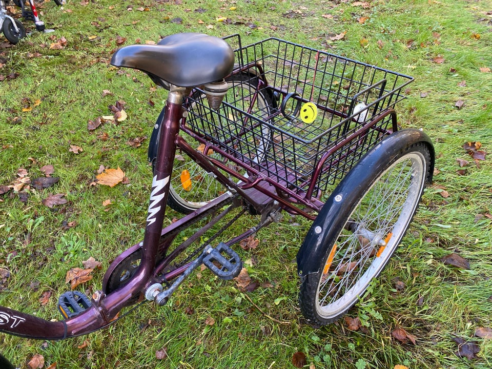 Handicapcykel, Kynast