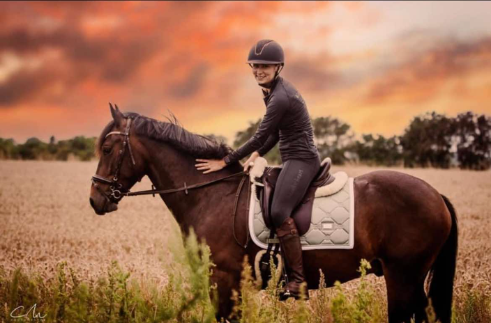 Welsh Cob vallak 7 år