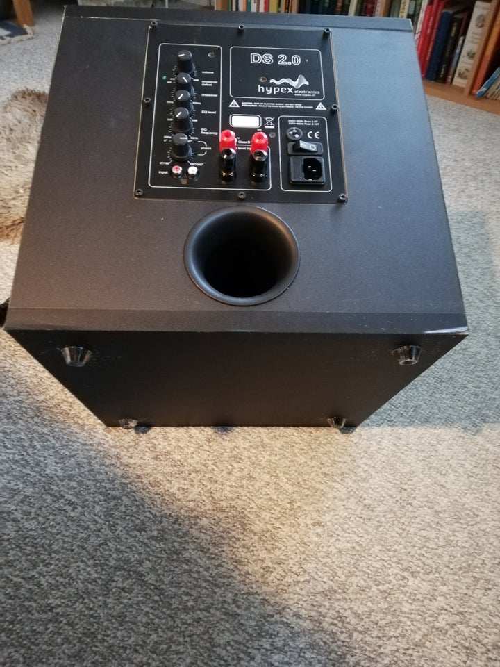 Subwoofer, Andet, Hypex DS2