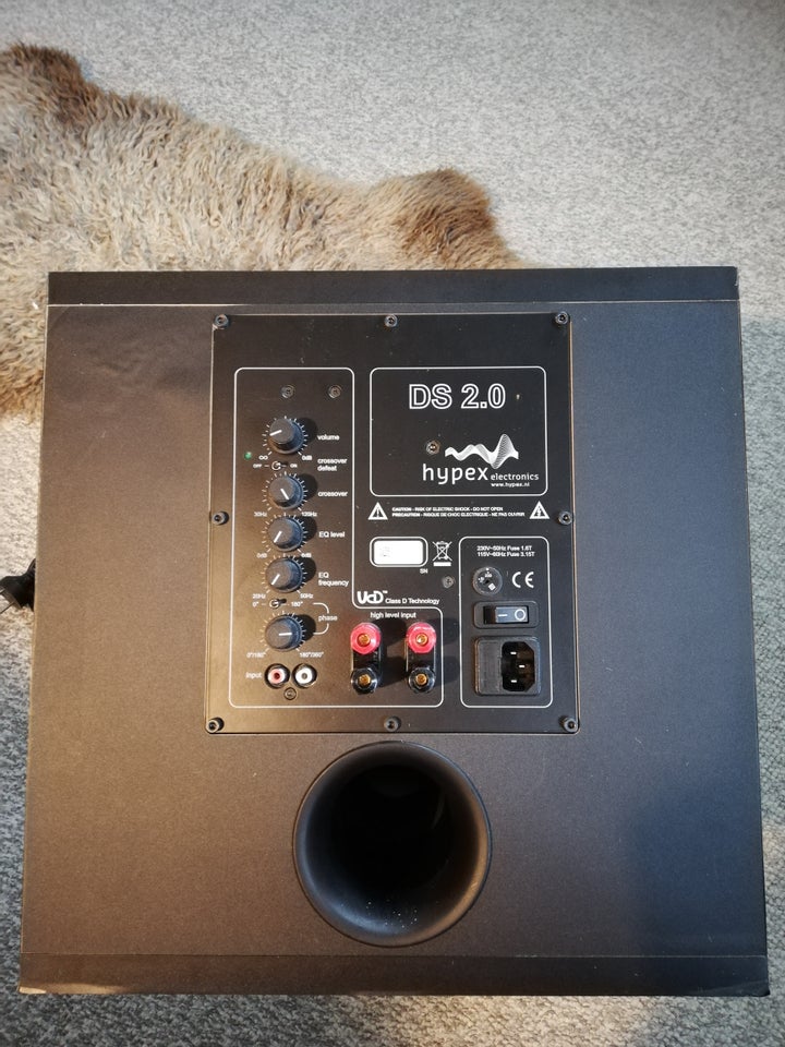 Subwoofer, Andet, Hypex DS2